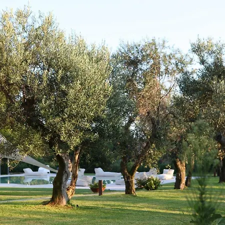 Sleeps 14 With Wifi Vila Il Monte